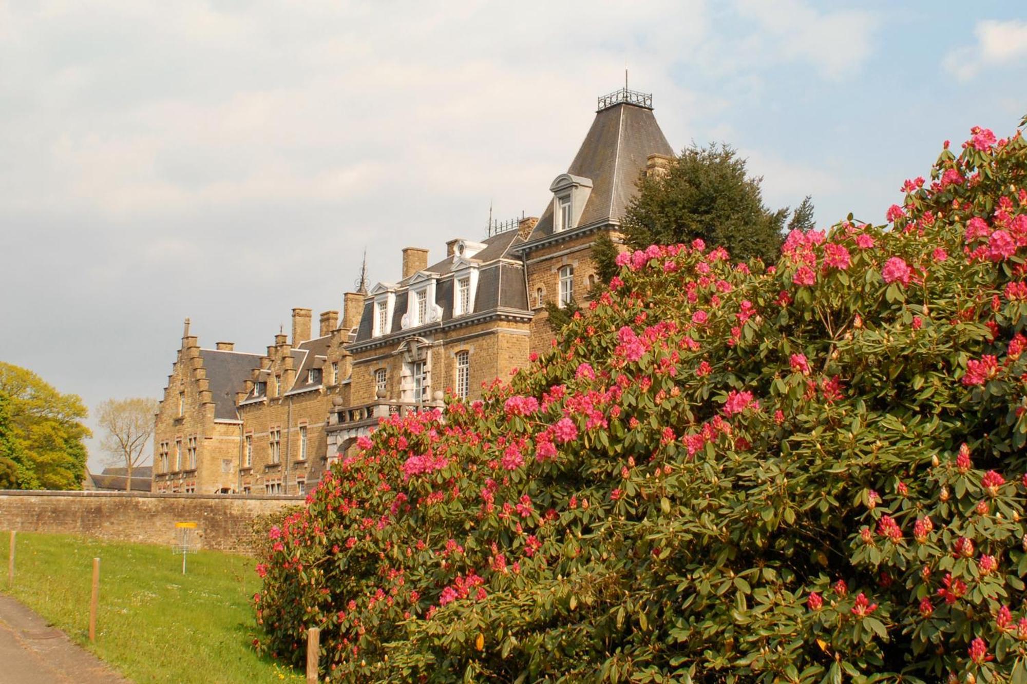 Maillen Domaine De Ronchinne - Chateau Et Ecuries מראה חיצוני תמונה